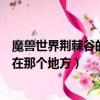 魔獸世界荊棘谷的虎王在什么地方（魔獸世界荊棘谷的虎王在那個地方）