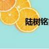 陸樹銘簡介（陸樹銘個(gè)人簡介）