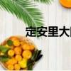 定安里大院（關(guān)于定安里大院介紹）