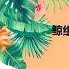 鯨組詞（鯨組詞有哪些）