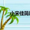小宋佳簡(jiǎn)歷（資料個(gè)人 小宋佳簡(jiǎn)介）