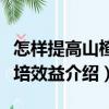 怎樣提高山楂栽培效益（關(guān)于怎樣提高山楂栽培效益介紹）