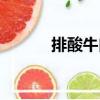 排酸牛肉（關(guān)于排酸牛肉簡介）