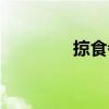 掠食者（關(guān)于掠食者簡介）
