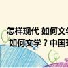 怎樣現(xiàn)代 如何文學(xué)？中國(guó)現(xiàn)代文學(xué)研究論集（關(guān)于怎樣現(xiàn)代 如何文學(xué)？中國(guó)現(xiàn)代文學(xué)研究論集介紹）