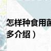 怎樣種食用菌賺錢多（關(guān)于怎樣種食用菌賺錢多介紹）