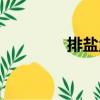 排鹽量（關(guān)于排鹽量簡(jiǎn)介）