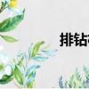 排鉆機(jī)（關(guān)于排鉆機(jī)簡(jiǎn)介）