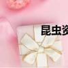 昆蟲資料（昆蟲的相關(guān)知識）