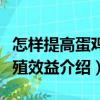 怎樣提高蛋雞養(yǎng)殖效益（關(guān)于怎樣提高蛋雞養(yǎng)殖效益介紹）
