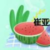 崔亞斌（關(guān)于崔亞斌簡介）