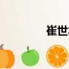 崔世君（關(guān)于崔世君簡介）