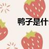 鴨子是什么類（鴨子都是水生的嗎）
