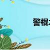 警棍術(shù)教程（警棍術(shù)16式）