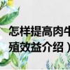 怎樣提高肉牛養(yǎng)殖效益（關(guān)于怎樣提高肉牛養(yǎng)殖效益介紹）