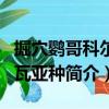 掘穴鸚哥科爾多瓦亞種（關(guān)于掘穴鸚哥科爾多瓦亞種簡(jiǎn)介）