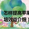 怎樣提高蘋果栽培效益（關(guān)于怎樣提高蘋果栽培效益介紹）