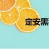 定安黑豬（關(guān)于定安黑豬介紹）
