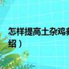 怎樣提高土雜雞養(yǎng)殖效益（關(guān)于怎樣提高土雜雞養(yǎng)殖效益介紹）