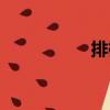 排衙（關(guān)于排衙簡介）