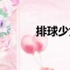 排球少女（關(guān)于排球少女簡介）