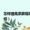 怎樣提高茶薪菇種植效益（關(guān)于怎樣提高茶薪菇種植效益介紹）
