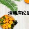清朝庫(kù)倫是現(xiàn)在什么地方（庫(kù)倫簡(jiǎn)介）