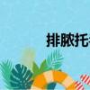 排膿托毒（關于排膿托毒簡介）