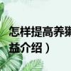 怎樣提高養(yǎng)獺兔效益（關(guān)于怎樣提高養(yǎng)獺兔效益介紹）