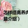 怎樣提高養(yǎng)肉羊效益（關(guān)于怎樣提高養(yǎng)肉羊效益介紹）