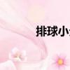 排球小分（關于排球小分簡介）