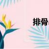 排骨串（關(guān)于排骨串簡介）