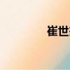 崔世杰（關(guān)于崔世杰簡介）