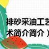 排砂采油工藝技術(shù)簡介（關(guān)于排砂采油工藝技術(shù)簡介簡介）