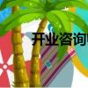 開業(yè)咨詢師（關(guān)于開業(yè)咨詢師介紹）