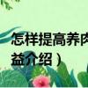 怎樣提高養(yǎng)肉雞效益（關(guān)于怎樣提高養(yǎng)肉雞效益介紹）