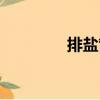 排鹽管（關(guān)于排鹽管簡(jiǎn)介）