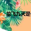 龍飛九天是什么意思（龍飛九天的含義）