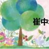 崔中華（關(guān)于崔中華簡介）