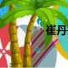 崔丹丹（關(guān)于崔丹丹簡介）