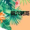掘穴鸚哥屬（關于掘穴鸚哥屬簡介）