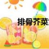 排骨芥菜煲（關于排骨芥菜煲簡介）