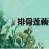 排骨蓮藕粥（關于排骨蓮藕粥簡介）