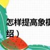 怎樣提高象棋技藝（關(guān)于怎樣提高象棋技藝介紹）