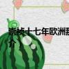 崇禎十七年歐洲那些事兒（關(guān)于崇禎十七年歐洲那些事兒簡介）