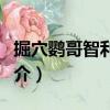 掘穴鸚哥智利亞種（關(guān)于掘穴鸚哥智利亞種簡(jiǎn)介）