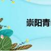 崇陽青山（關(guān)于崇陽青山簡介）