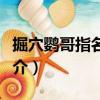 掘穴鸚哥指名亞種（關(guān)于掘穴鸚哥指名亞種簡(jiǎn)介）