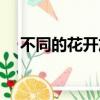不同的花開放的時間（各種花開花時間）