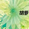 胡蘿卜須歌詞（歌手簡(jiǎn)介）